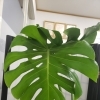家庭でのケア③