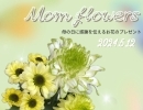 5月12日は母の日です【静岡市　天然石　パワーストーン】