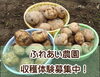 じゃがいも「都内で楽しく収穫体験！「ふれあい農園」で募集がスタート！　2025年度情報」