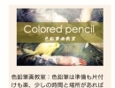 えっ、写真みたい！本当に色鉛筆だけなの？気になる方は色鉛筆講座へ。初心者でもご安心ください。