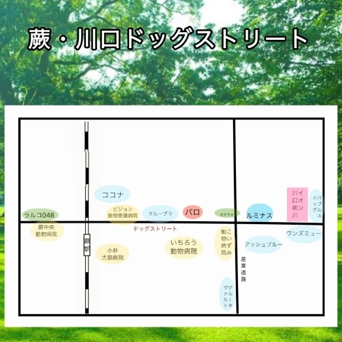 「蕨市と川口市で犬のお店探すなら、この通り。」