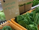 【新しい試み】香川の新鮮な野菜を、銅夢キッチンで試験的に販売することになりました！