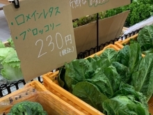 【新しい試み】香川の新鮮な野菜を、銅夢キッチンで試験的に販売することになりました！