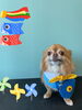 「Dog salon mofu mofu 余市町」