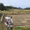 田植え準備中❗