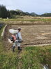 「田植え準備中❗」