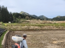 田植え準備中❗