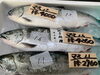 「本日入荷致しました。」