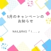 「5月のキャンペーンのお知らせ🌟」