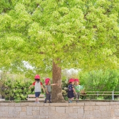 大きなくりの〜木の下で〜　京都保育園　活動の様子
