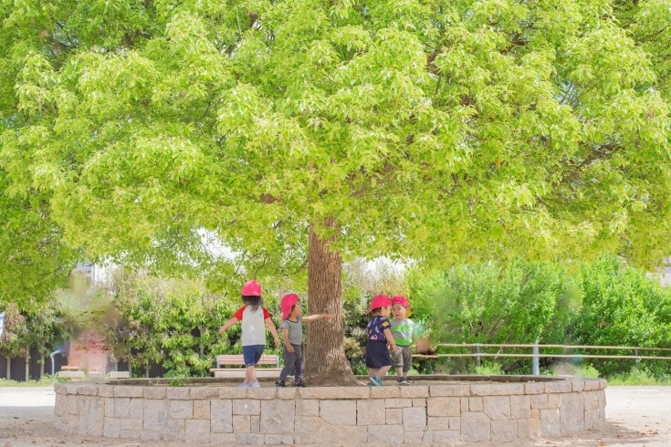 「大きなくりの〜木の下で〜　京都保育園　活動の様子」