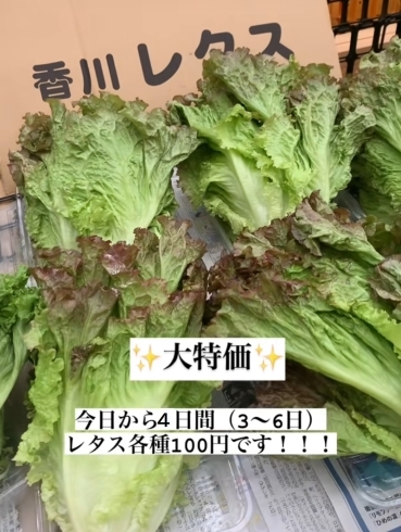 「香川の新鮮な野菜を、銅夢キッチンで試験的に販売しています！」