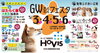 「【ホービス新居浜】2024年5月3日(金・祝)～6日(月・祝)、GWわんわんフェスタ開催！」