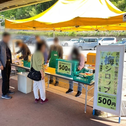 「ＧＷ限定！道の駅木曽福島オリジナル梅シロップを特価販売！」