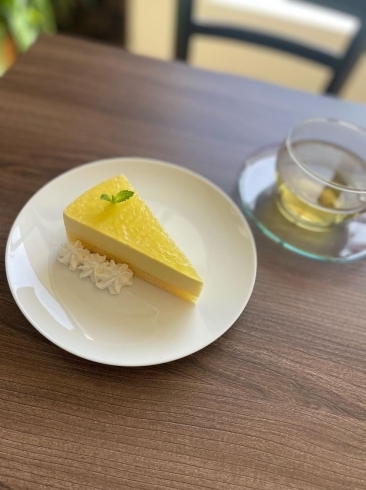 レモンムースケーキ「5月限定メニュー『レモンムースケーキ』」