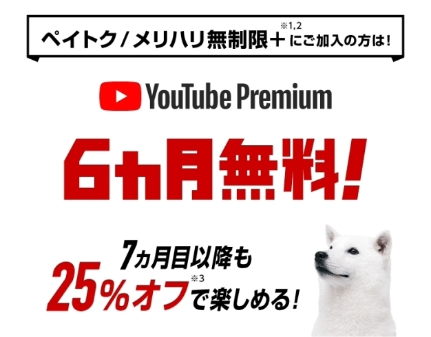 「Youtube Premium 6ヶ月無料特典！！」