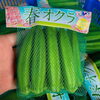 「国産「オクラ」の入荷も始まっていますよ～。 鹿児島県産　「春オクラ」🌸」
