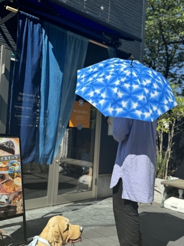 雪花絞り日傘「藍染め　機織り　雪花絞り「和の花」〜日傘〜」