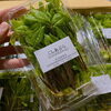 「　おぉー！！ 「こしあぶら」じゃないかー！！  山形県産「こしあぶら」が入荷しました～。」