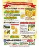「🍊新鮮な産地直送❗🍊 『日本中に美味しい 愛媛をお届けしたい！』」