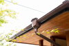 「＊知っているようであまり知らない！？ 樋の重要な役割4つ＊【神戸市西区 リフォーム　便利屋】」