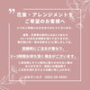 花束・アレンジメントをご希望のお客様へ「花束・アレンジメントをご希望のお客様へ」