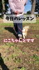 「今日のレッスン♪ お散歩でちゃんとママの横について歩けるように🦮」