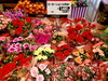 「母の日のお花が沢山並びました🌹🌼🌹」