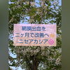 「70代の女性の網膜出血が改善！　[福島県福島市の漢方薬局]」
