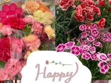 5月第二日曜日は、母の日ですね。銅夢キッチンにもプレゼント用のお花をご用意しています。