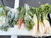 朝採れ野菜 マルシェにて「採れたて新鮮野菜マルシェ開催!【美容・健康・フィットネスジム・レストラン・コラーゲン・有機栽培・野菜・ヘルシーバイキング・健康維持・ダイエット・ボディメイク・筋トレ・入間市・入間市駅】」