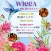 「WICCA(ウィッカ)フルムーンセレモニー『地』のワークショップ⭐️」