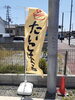 かわいいノボリでしょ😃「ノボリを立てました。」