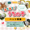 「【2024年】第5回目 記事公開★カワイイが大渋滞！みてみて！うちの子 ペット特集　【新居浜・西条】」