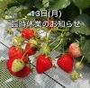 「【5/13(月)臨時休業のお知らせ】」