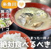 「糸魚川の端っこで絶品ランチ🍽こだわりのたら汁定食🐟」