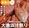「日本海大漁浜汁祭り開催します！」
