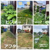 「『除草』『伐採』も三星へ」