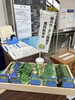 「緑のカーテン用種子の無料配布」