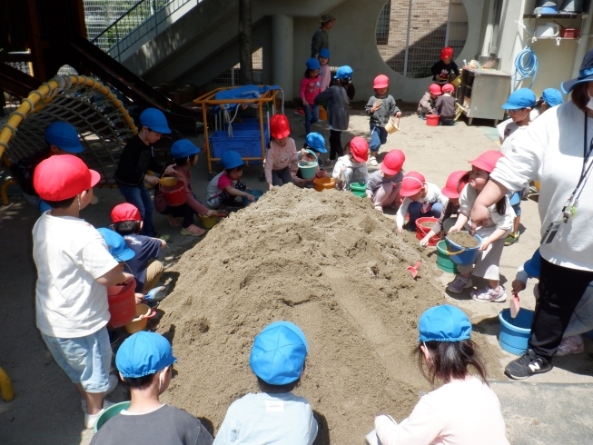 「砂場の砂運びをしました！【松山市の認定こども園・児童クラブ　立花こども園】」