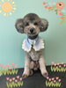「Dog salon mofu mofu 余市町」