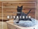 職人気質の猫の家【川口のリフォーム会社】