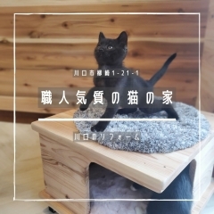 職人気質の猫の家【川口のリフォーム会社】
