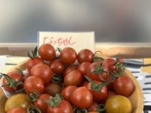 いしかわ菜園の人気トマトベスト3(豊明市沓掛町のトマト直売所)