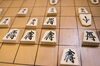 将棋 「感想戦」