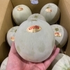 「今年もプリンス君の入荷も始まりました👑 茨城県産　「プリンスメロン」」