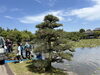 「衆楽園の池掃除行って来ました！」