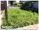 神戸市北区でお庭の草刈りをしました！