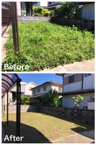 機械除草(草刈り)「神戸市北区でお庭の草刈りをしました！」