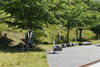 除草作業「引揚記念公園の草刈り」